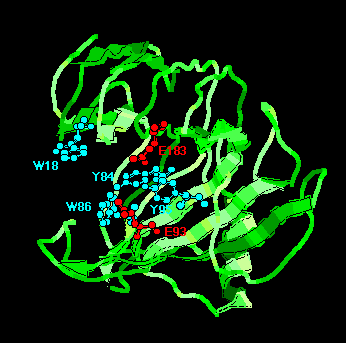 xynJ3D